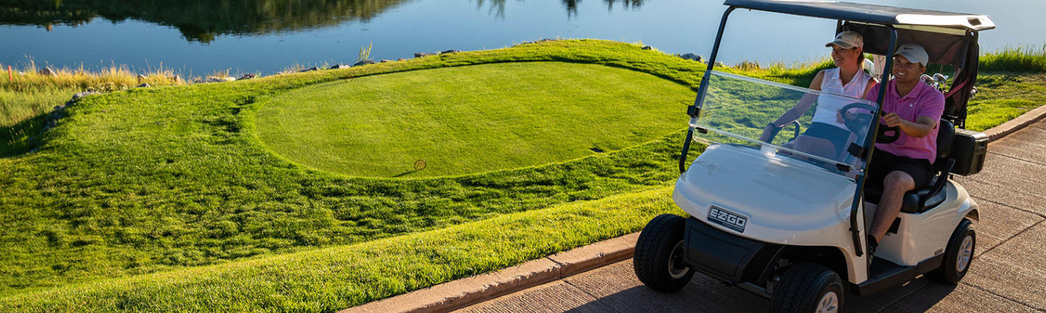 2020 E-Z-G-O for sale in Professional Golfcar Corporation, Martinsville, Indiana